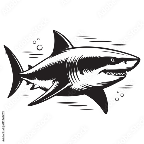 vector illustration of a shark