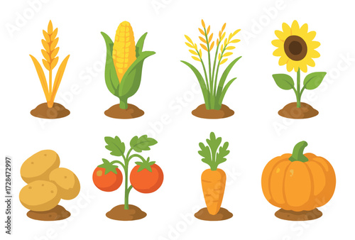 Cartoon vegetables and crops: wheat, corn, rice, sunflower, potatoes, tomatoes, carrot, pumpkin