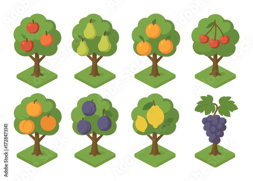 Colorful fruit trees illustration featuring apples pears oranges cherries peaches plums lemons grapes