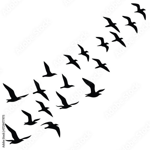 A dynamic flock of birds soaring in the sky, , showcasing the beauty of avian migration