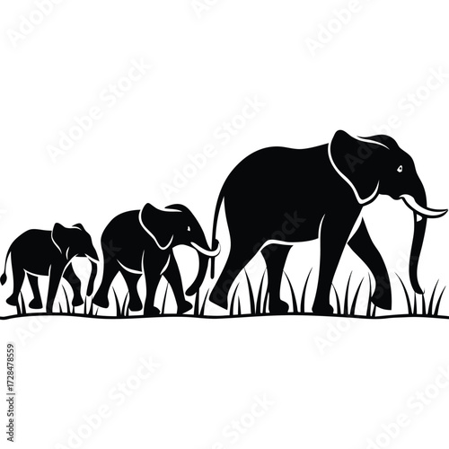 A family of elephants walks in a line across the savanna, , with tall grass