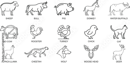 Set of Animals Line Icons Editable Stroke Vector Illustration