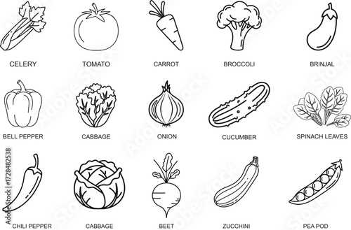 Set of twelve hand drawn vegetable icons celery tomato carrot broccoli brinjal bell pepper cabbage onion cucumber spinach leaves chili pepper beet zucchini and pea pod vector illustration isolated