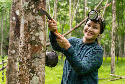Thai women's gardeners are cutting rubber to harvest products.