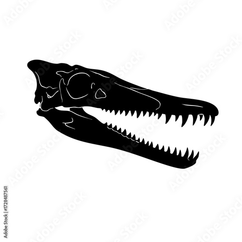Silhouette Detailed Skull Spinosaurus Dinosaur Ancient Fossil Palaeontology Illustration