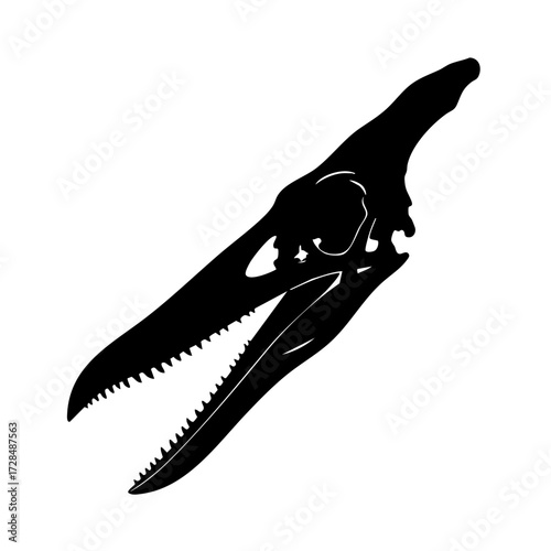 Silhouette Detailed Pterosaur Skull Profile Fossil Extinct Animal Paleontology Illustration