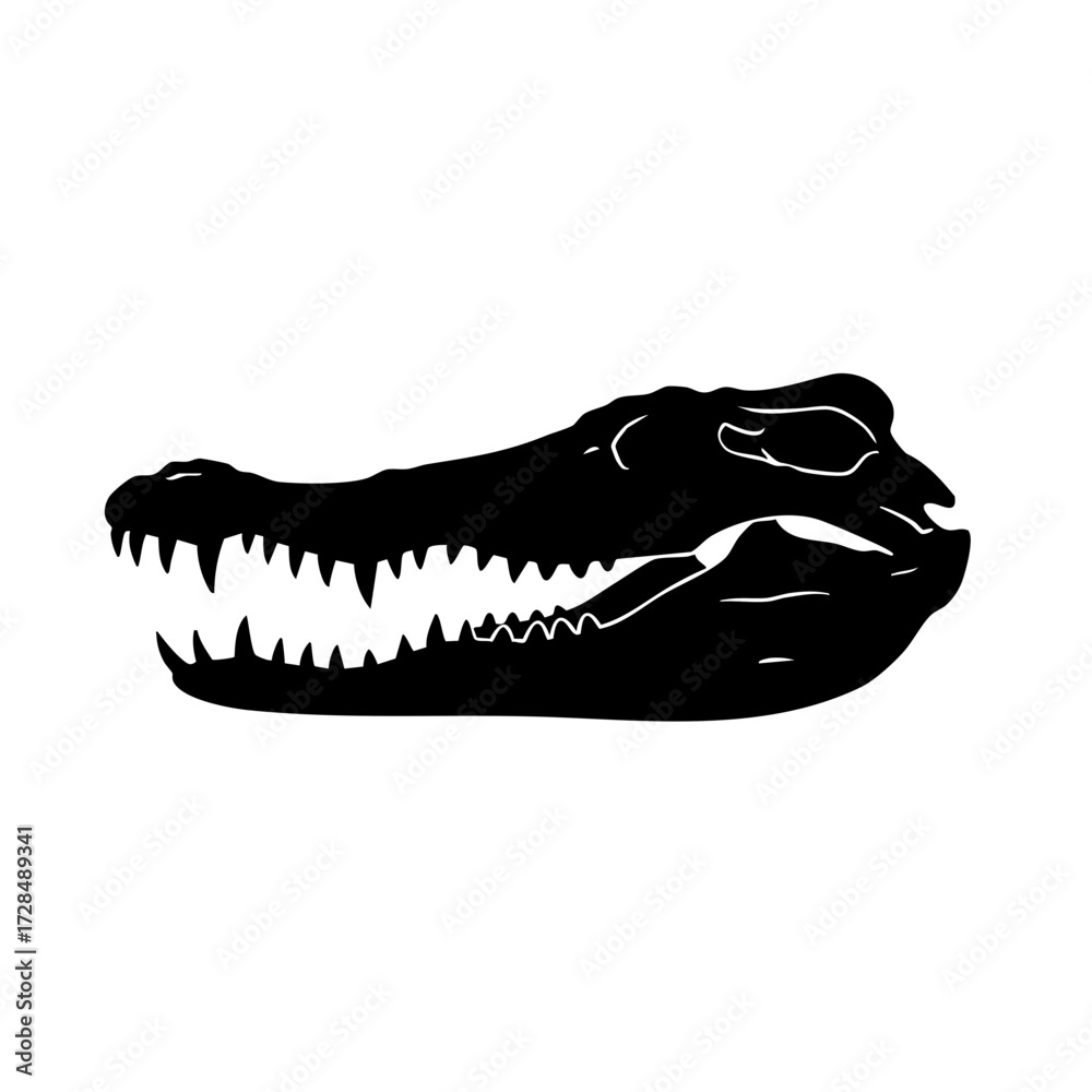 Fototapeta premium Silhouette Head Alligator Outline Sharp Teeth Wildlife Nature Animal Illustration