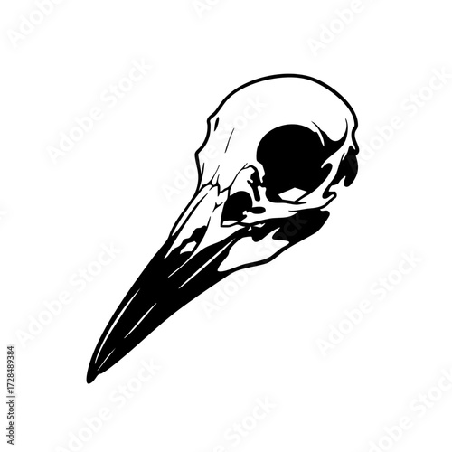Detailed Line Art Bird Skull Head Bone Illustration Graphic Element
