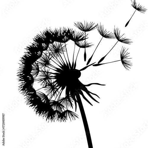 Detailed Silhouette Dandelion Seed Blowing in the Wind Botanical Illustration