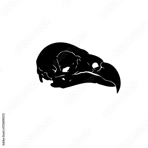 Silhouette Detailed Bird Skull Anatomy Illustration Creepy Gothic Style Graphic