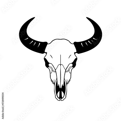 Line Art Black and White Buffalo Skull with Horns Illustration