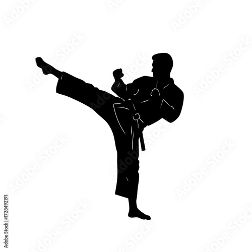 Silhouette Martial Art Kicking Stance Figure Illustration Sport Arts