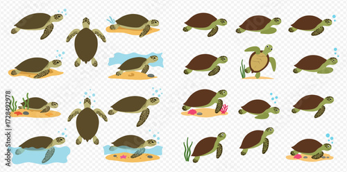 A collection of cartoon sea turtles illustrated in various swimming and resting poses on sand and underwater, with bubbles and marine elements.