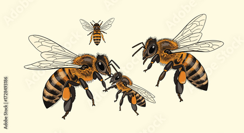 A detailed illustration of honeybees in various sizes and orientations in flight.