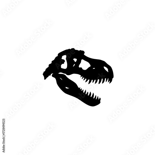 Silhouette Detailed Tyrannosaurus Rex Skull Fossil Remains Paleontology Illustration