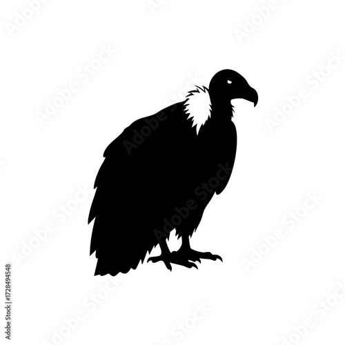 Simple Silhouette Vulture Standing Wild Bird Illustration Isolated