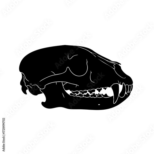 Silhouette Black Animal Skull Detailed Illustration Wildlife Anatomy Skeleton