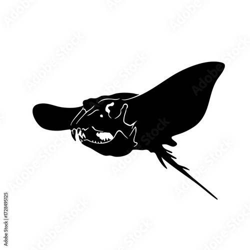 Silhouette Detailed Platypus Skull Anatomy Illustration Mammal Icon