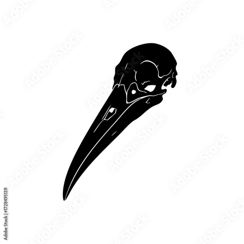 Detailed Silhouette Bird Skull Raven Head Anatomy Illustration