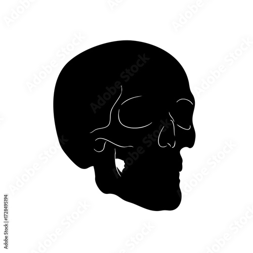 Minimalist Silhouette Skull Side View Halloween Gothic Illustration