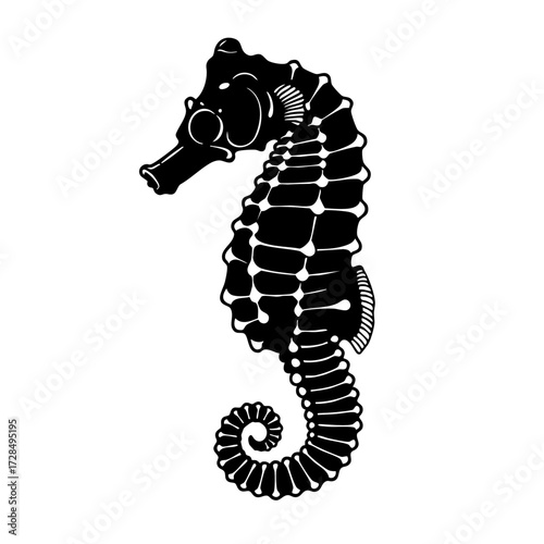 Black and White Engraved Style Detailed Seahorse Aquatic Animal Illustration