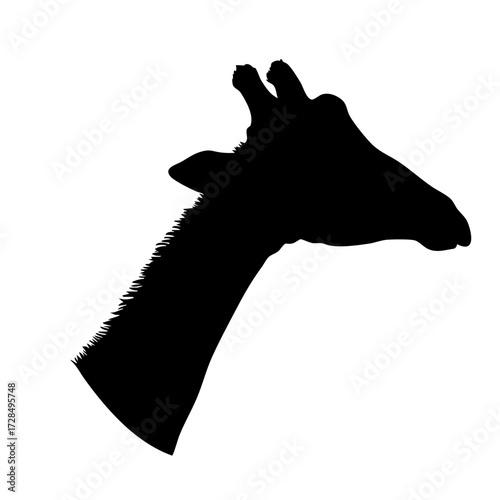 Silhouette Minimalist Giraffe Head Side View Artistic Graphic Illustration