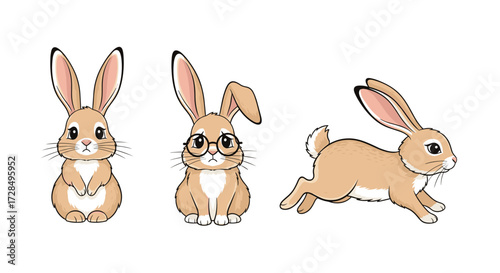 Three adorable cartoon rabbits in different poses.