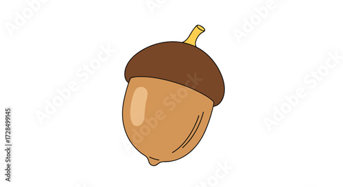 An illustration of a brown acorn on a white background for educational or nature themed content.