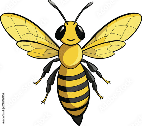 A stylized yellow and black honeybee with translucent wings insect animal vector illustration EPS file download.