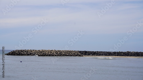 sea and beach