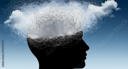 Clouded Thoughts Silhouette Of A Head In Vector Style