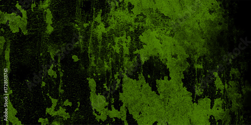 Vibrant green moss texture on dark rough surface with organic growth patterns and weathered grunge effect for abstract backgrounds