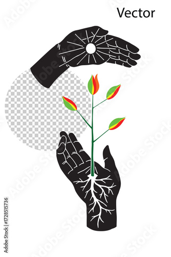 One hand protects from the heat of the sun, the other hand protects from falling and gives the strength to grow into a full-grown sun growth protect shadow strength life root soil energy earth 