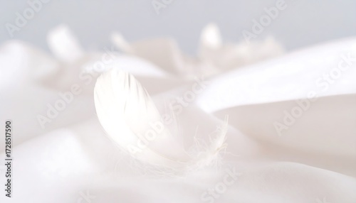 Soft white feather on fabric