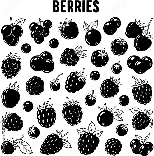 Berry Collection: Black and White Illustration of Various Berries