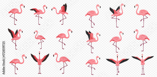 A collection of pink flamingos in various elegant poses, including standing on one leg and spreading their wings.