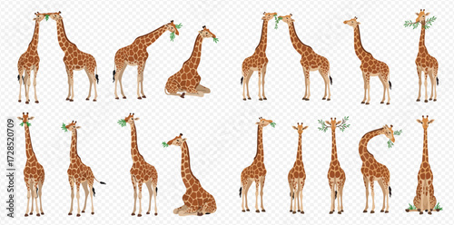 A collection of cartoon giraffes illustrated in various standing, sitting, and feeding poses, showcasing their distinctive spotted coats.