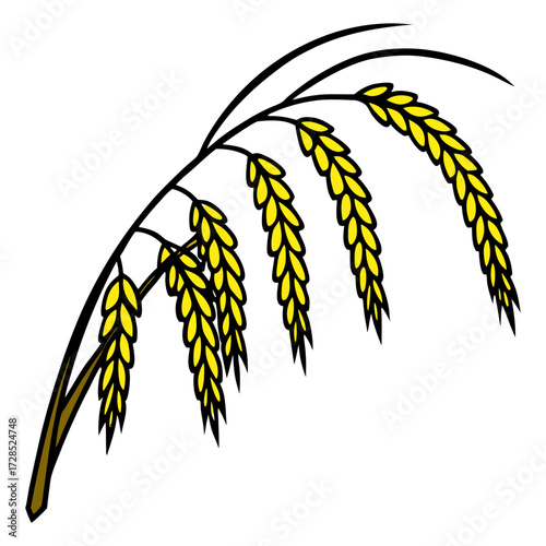 A close-up view of a mature rice plant panicle, with golden-yellow rice grains hanging densely on curved, slender stalks. The grains are fully developed and slightly husked, indicating readiness for h