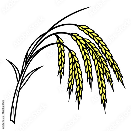 A close-up view of a mature rice plant panicle, with golden-yellow rice grains hanging densely on curved, slender stalks. The grains are fully developed and slightly husked, indicating readiness for h