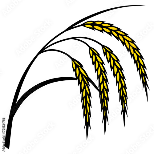 A close-up view of a mature rice plant panicle, with golden-yellow rice grains hanging densely on curved, slender stalks. The grains are fully developed and slightly husked, indicating readiness for h