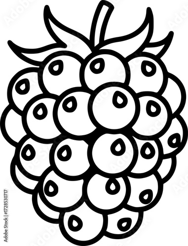 Modern outline icon of a juicy blackberry, a healthy food for eating, featuring a black dewberry, mulberry, isolated bramble fruit with a thin line
