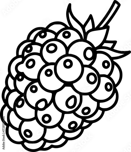 Modern outline icon of a juicy blackberry, a healthy food for eating, featuring a black dewberry, mulberry, isolated bramble fruit with a thin line
