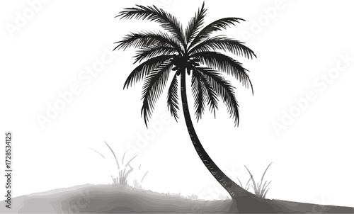 palm tree silhouette