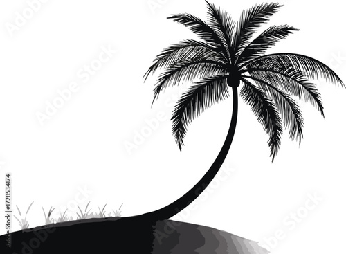silhouette of palm tree