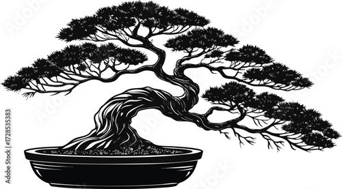 bonsai tree isolated on white