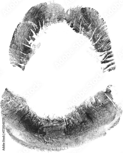 Lip Print Textures