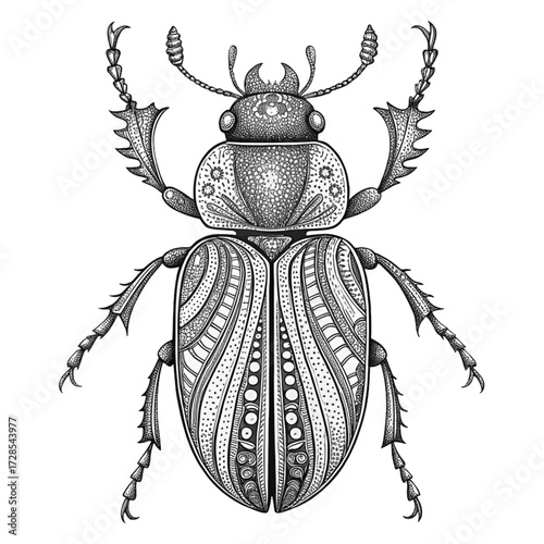 vector illustration of a bug