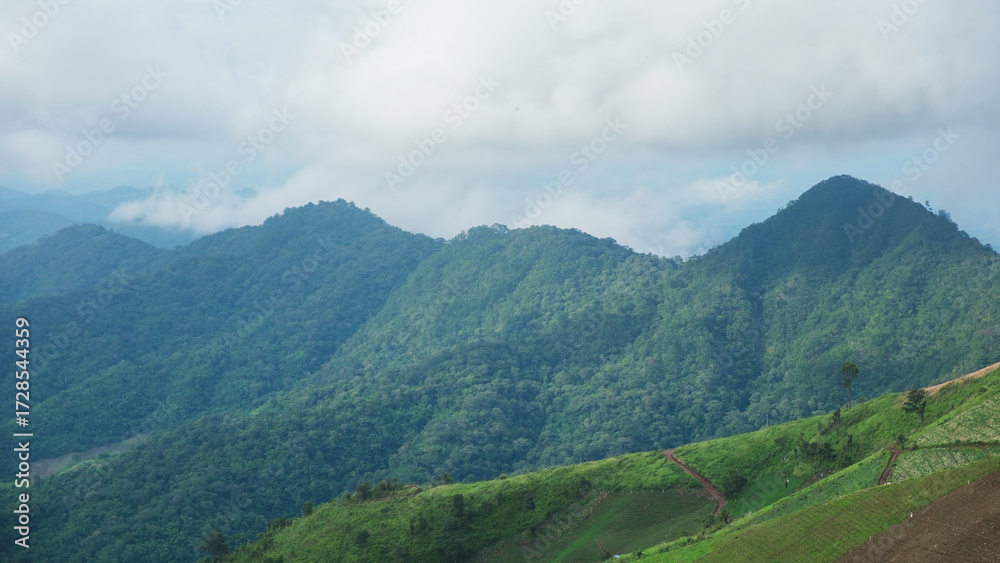 Obraz premium Greenery mountain views on cloudy day