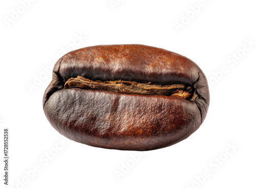 Close-up of a roasted coffee bean