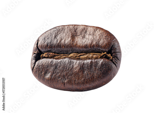 Close-up of a single coffee bean (5)